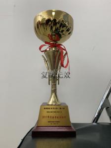	資質榮譽